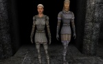 Female Saracen Comparison