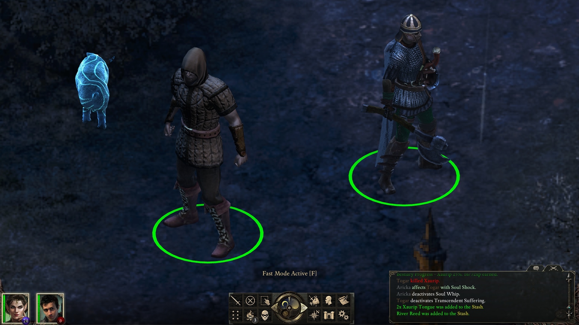 PillarsOfEternity_2015_03_28_00_35_25_758