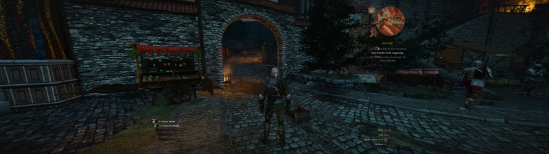 witcher3_2015_11_10_03_41_39_062